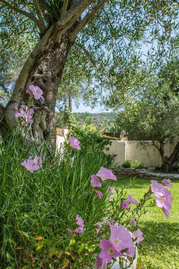 Corfu Villa Linea Línia Exterior foto